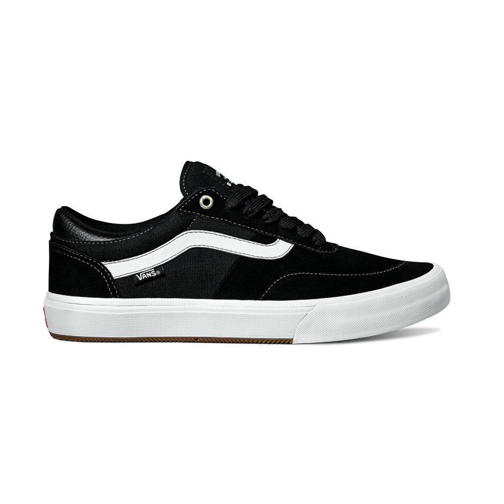 vans skateboard pro